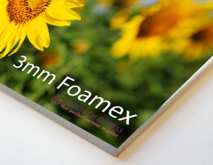 Printed Foamex Board Signs